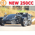 MC-369 Bode Quanlity assegurado novo CEE 250cc Ztr Trike Roadster para venda 3 Wheeler motocicleta